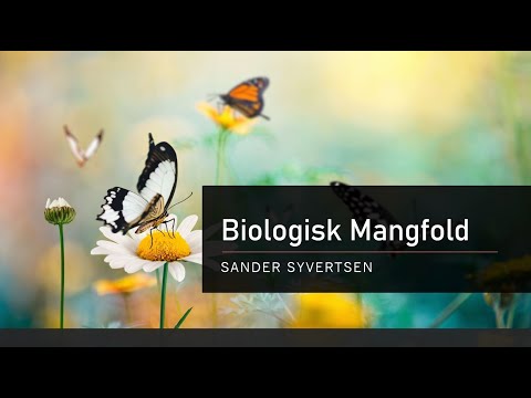 Video: Hvordan påvirker utryddelse det biologiske mangfoldet?