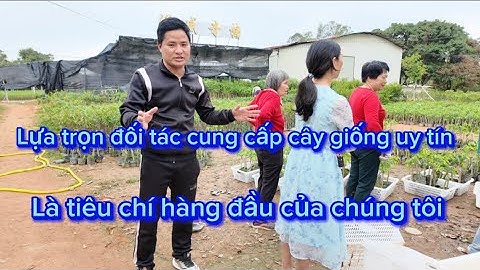 Lựa trọn đối tác cung cấp cây giống uy tín là tiêu chí hàng đầu của chúng tôi