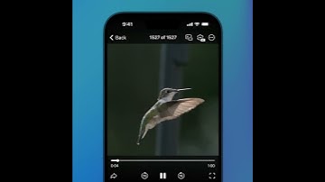 Dynamic Video Quality #Telegram #tutorial #edit #playlist #picsart #lightroomediting
