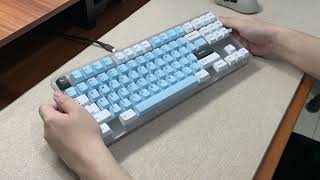 Lamy TKL SE R1 Typing Sounds — SWK Jieum v2