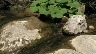 Copyright free stock footage with sound effect || Waterfall screenshot 4