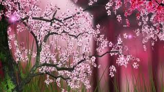 Download Lagu PeriTune - Sakuya3 (Japanese Relaxing Music) MP3