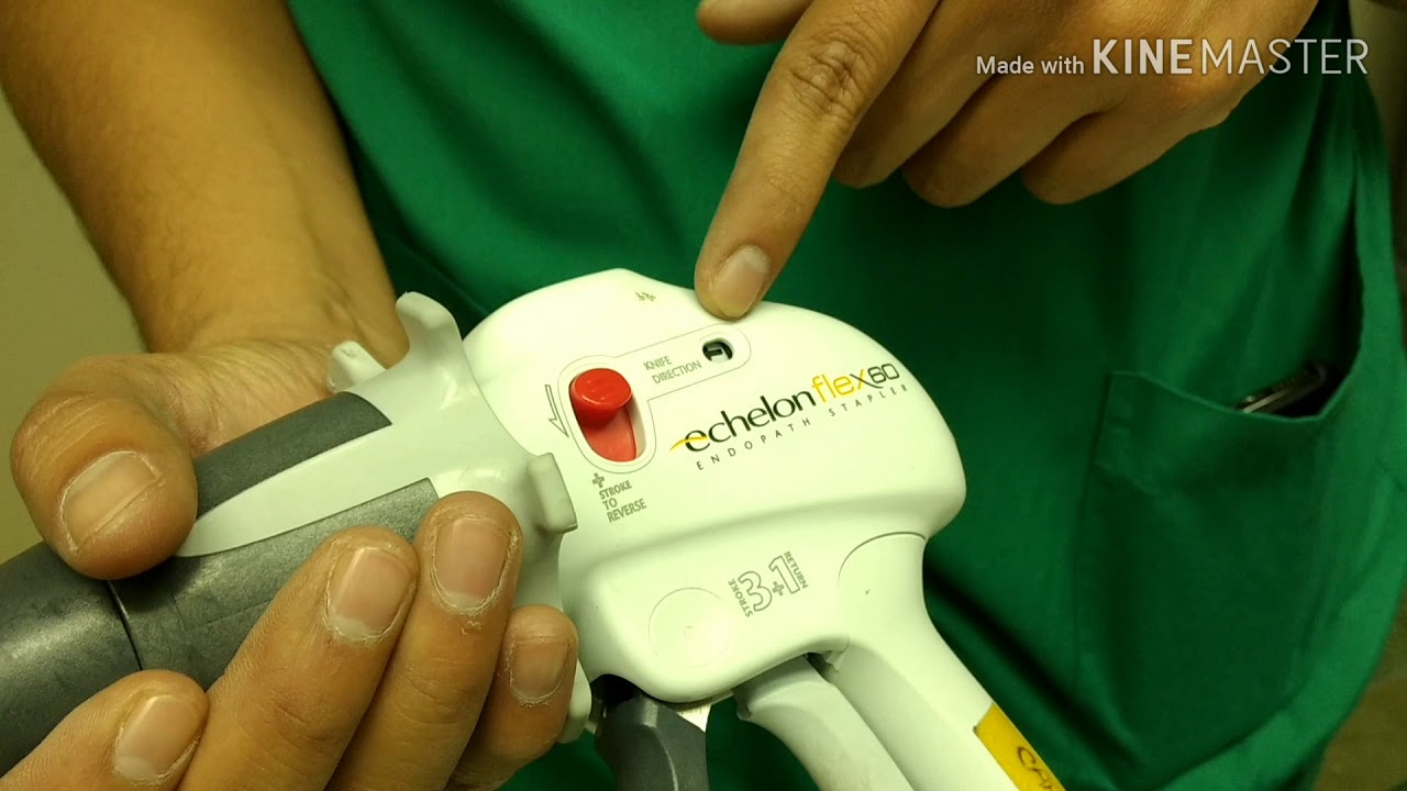 MALICIA RICH SOP 174: 