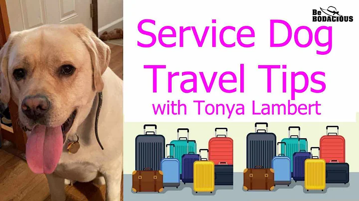 Service dog travel tips for road trips with Tonya ...