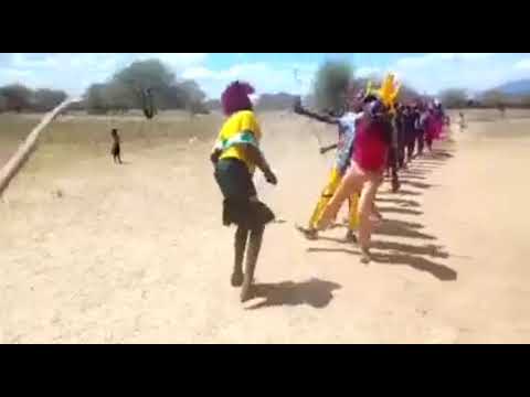 The Song Is Very Fantastic And Educative Composed By Digital 