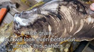 Looking at Rocks