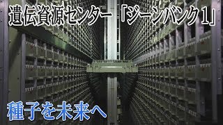 種子を未来へ「ノアの箱船」　茨城県つくば市