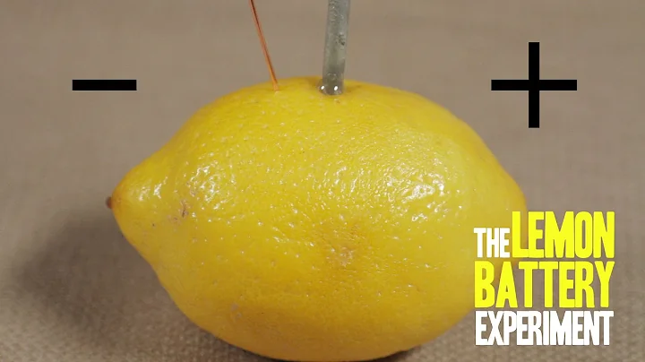 How to Make a Lemon Battery - DayDayNews