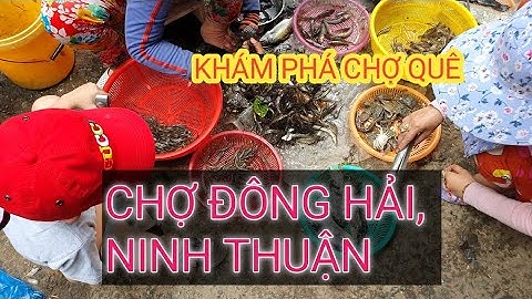 KHÁM PHÁ CHỢ QUÊ CẢNG CÁ ĐÔNG HẢI, NINH HẢI, NINH THUẬN | PHAN RANG LIFE
