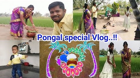 Pongal celebration Vlog//நம்ம வீட்டு பொங்கல் கொண்டாட்டம்//Pongal festival vlog//@Malathi