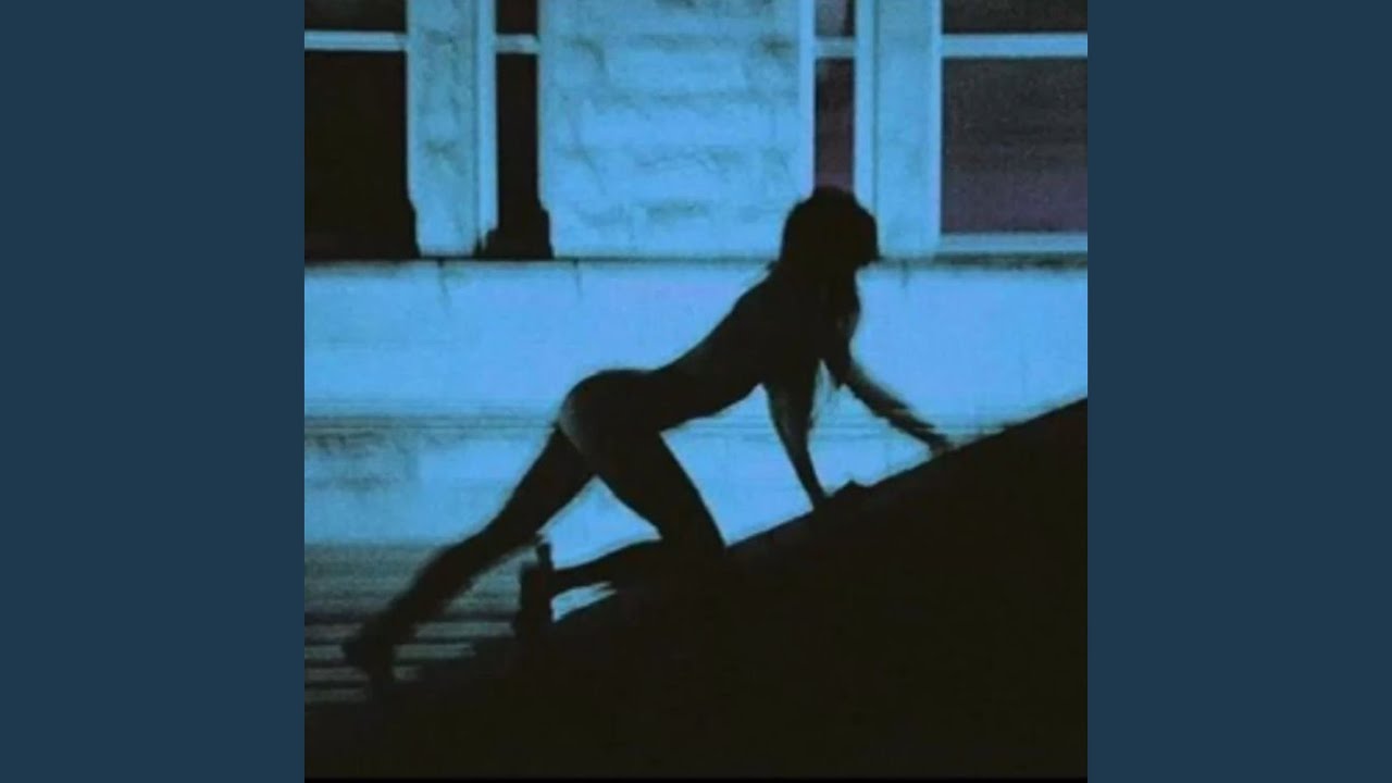 写真集　BADULESCU SUENOS Nightview – Sunset Lover | Chillout • Lounge • Downtempo