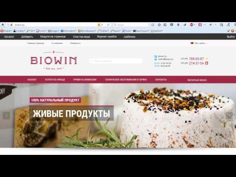 Корпоративная почта на Яндекс своими руками