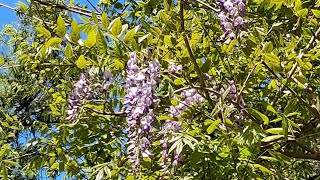The Astrology of May 18, 2026: Energy shifts continue...
