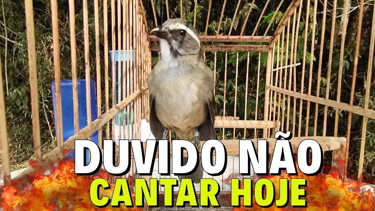 ESQUENTAR TRINCA FERRO FRIO COM TRINCA FERRO NO MATO PARA ESQUENTAR TRINCA FERRO