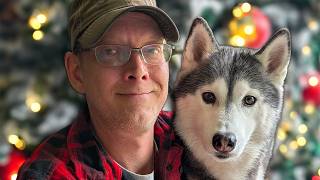 What Happened To Jamie? HUSKIES Go Crazy on Christmas Eve! 🎄
