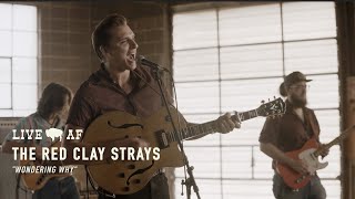 The Red Clay Strays  | "Wondering Why" | Live AF screenshot 4