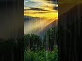 힐링 빗소리 뮤직 Healing rain sound, music 백색소음 ASMR | rain sounds