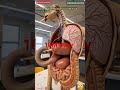 Internal View Elephant 🐘 Digestive System Animation/Animal's AI Art/17
