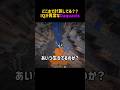IQが異常すぎるDaquavis