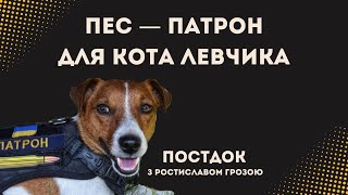 Хто намагається забруднити репутацію пса Патрона?  \ розслідування ПОСТДОК з Ростиславом Грозою
