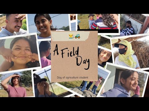 LIFE OF AGRICULTURE STUDENT | THRESHING IN FIELD | FIELD WORK | A DAY ...