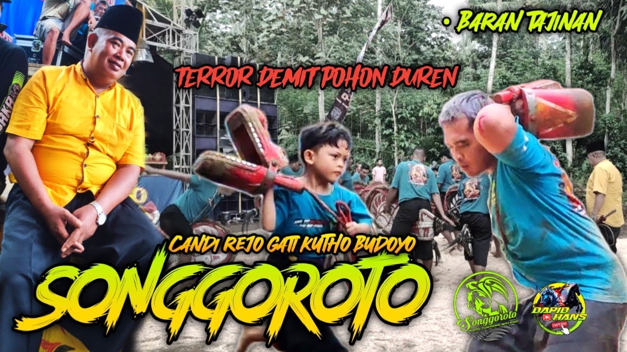 HOROR! Teror Demit Pohon Duren Baran Tajinan Meresahkan Pawang dan Punggawa SONGGOROTO