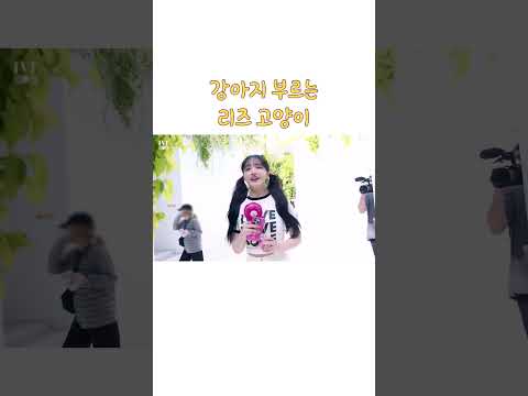 강아지 부르는 리즈 고양이 #아이브 #리즈