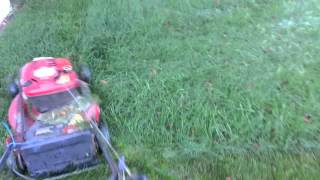 How to mow wet tall grass without clumping