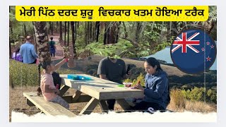 ਮੇਰੀ ਪਿੱਠ ਦਰਦ ਸ਼ੁਰੂ ਵਿਚਕਾਰ ਖਤਮ ਹੋਇਆ ਟਰੈਕ#deepabazidwala #Totara park