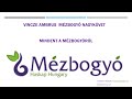 Mindent a mézbogyóról Vincze Ambrus Mézbogyó Nagykövet előadása