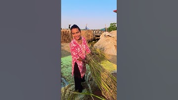 Unlock the Power of Smart Learning with Advanced Gadgets! 🌟🎓