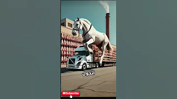 ماذا حدث للحصان المسكين Viral Shortvideo فلسطين 