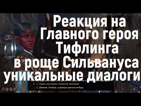 Реакция на главного героя тифлинга в роще друидов Сильвануса, уникальные диалоги Baldur's Gate 3