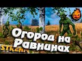 ★ Valheim ★ Огород на равнинах ★