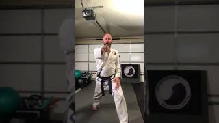 Won-Hyo Tul instructional performed by Master Randy Edwards