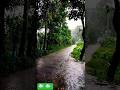 শ্রাবন ☁ ☁ এর দিন