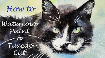 How to Paint a Tuxedo Cat - the best mix for black watercolor - how to paint black cat fur