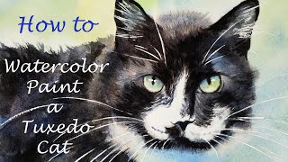 How to Paint a Tuxedo Cat  the best mix for black watercolor  how to paint black cat fur