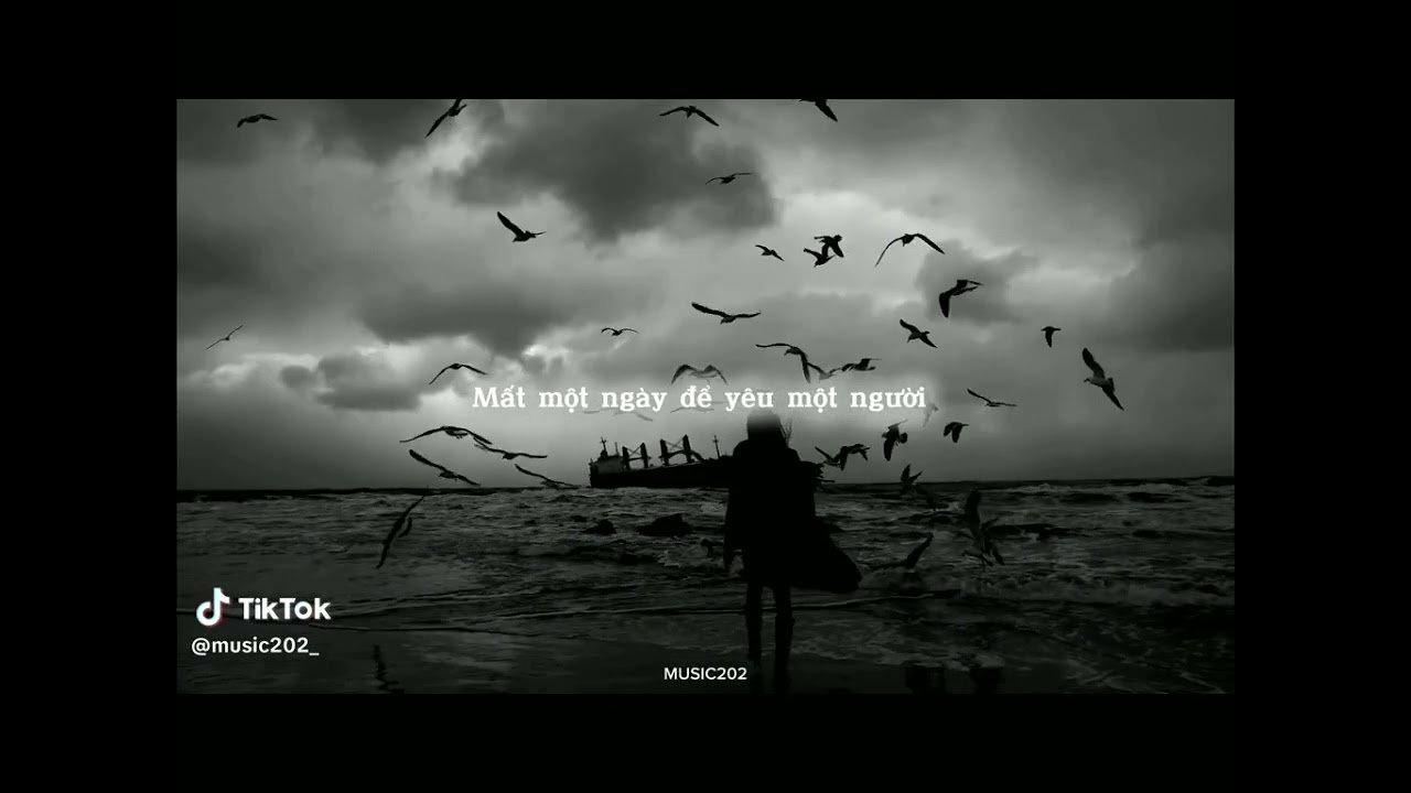 |Nhạc tiktok| tổng hợp những bài tiktok hay nhất và buồn nhất