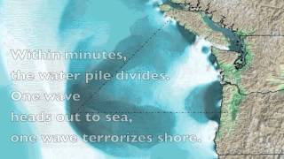Celebrity Cascadia Tsunami.mov Wealth