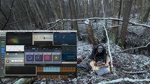 tempartistname ALIVE @ the forest 12-22-2025