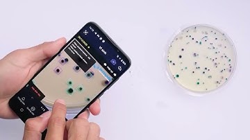 Chuyển đổi số trong nông nghiệp, mô hình ứng dụng AI