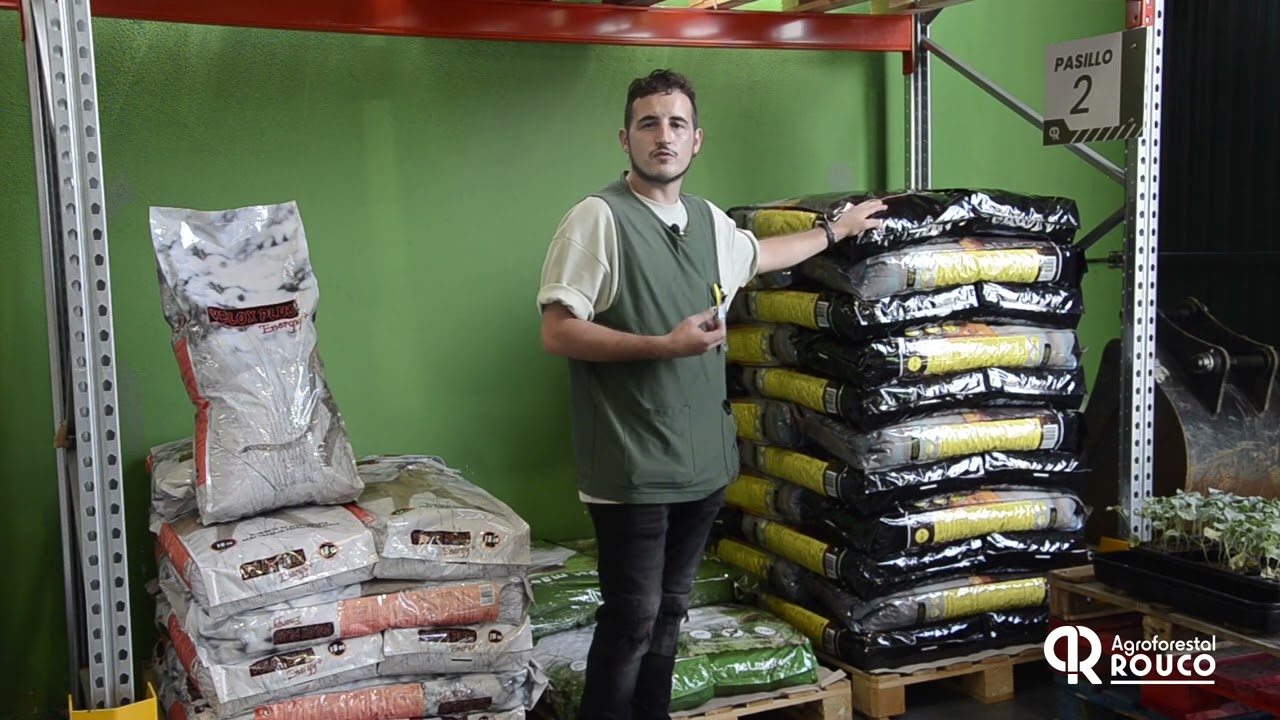 Los mejores piensos para tu perro 2023