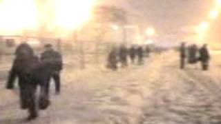 video181.3gp