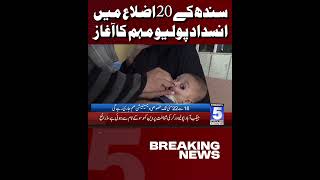 Anti-Polio Campaign Launched in 20 Districts of Sindh | Breaking News | Channel5NewsHD