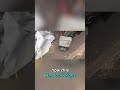 Dead Car Battery? Harbor Freight Jump Pack Saves the Day! #shorts