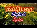 Wildflower by: Skylark with lyrics || D1 Ubay Vlog