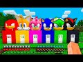 What INSIDE SONIC KNUCKLES TAILS AMY ROSE JET SHADOW HOUSES in Minecraft !