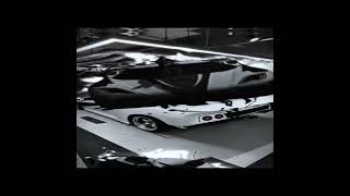 Sua Cavalona ultra Slowed   3  caredit 120fps 4k