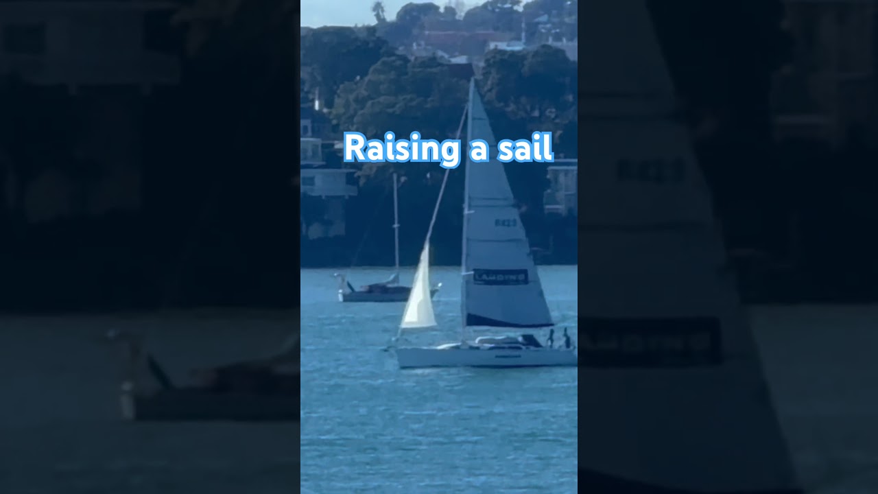 Raising a sail #auckland
